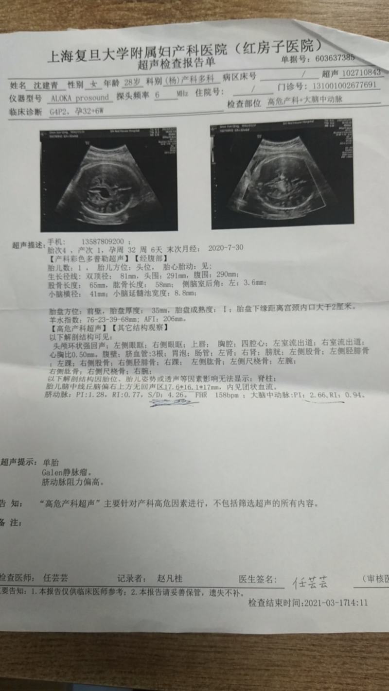 温州苍南县大棚种植大红西红柿