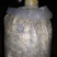 山东盛达菌业大量供应羊肚菌母种原种栽培种，每亩2000元