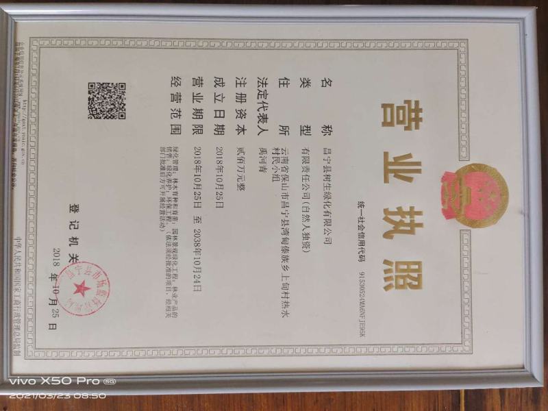 夏威夷果苗嫁接苗，品种优良