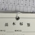 夏威夷果苗嫁接苗，品种优良