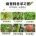 氨基寡糖素病毒病番茄草莓黄瓜辣椒卷叶病花叶病条斑病杀菌剂