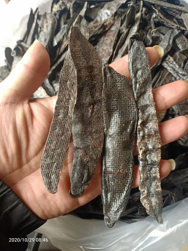 水蛭干货干净无杂质量大从优欢迎选购！