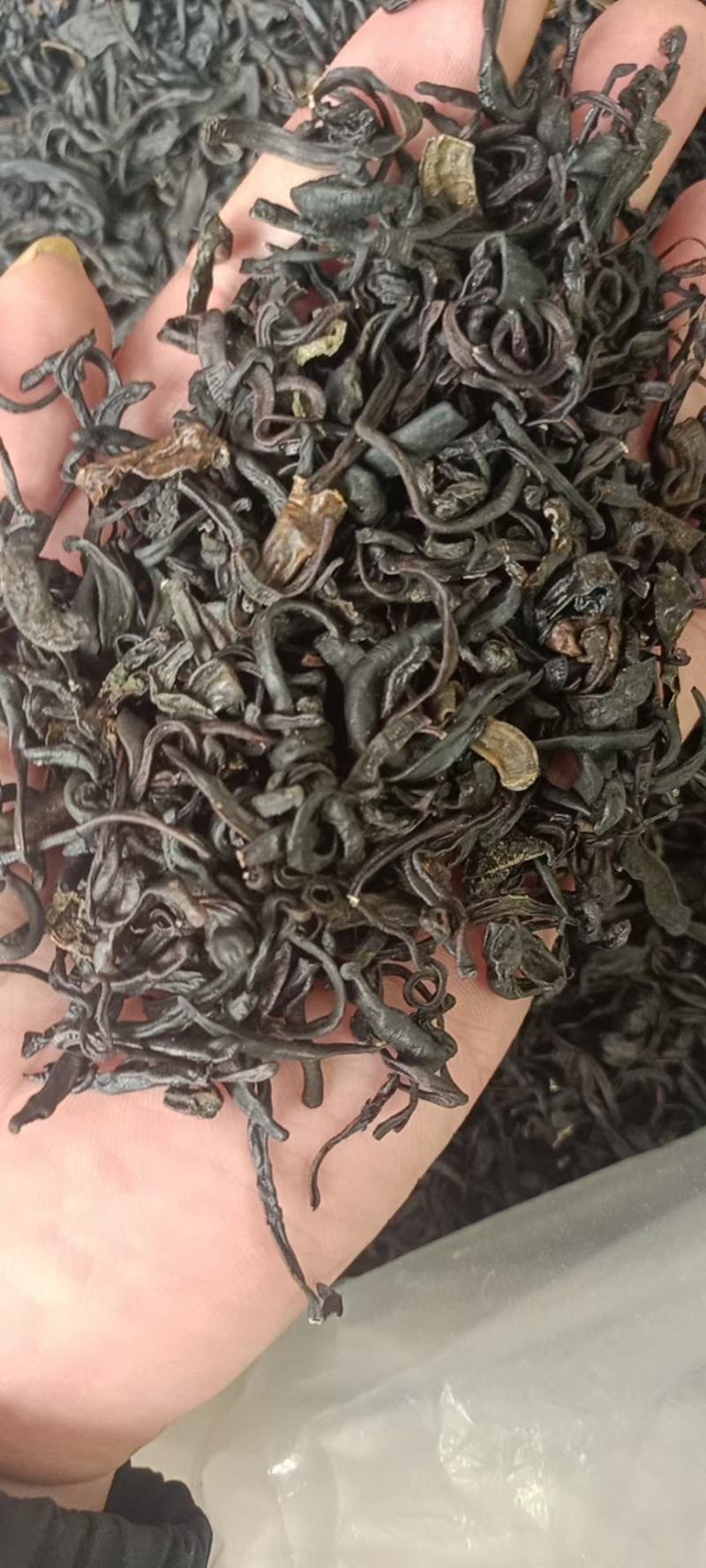 水蛭干货干净无杂质量大从优欢迎选购！