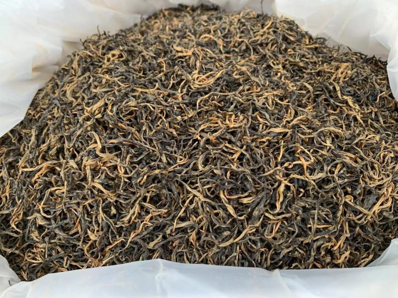 英红九号春茶特卖