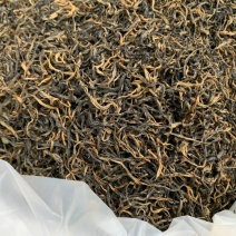 英红九号春茶特卖