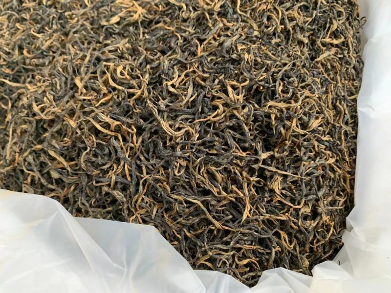 英红九号春茶特卖