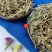 农家自采深山野生中药材香薷草滇香茹草云南香如香草
