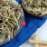 农家自采深山野生中药材香薷草滇香茹草云南香如香草