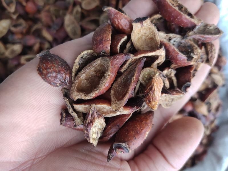 金樱肉中药材金樱子肉金英子肉金樱果肉金樱子开边金樱子