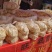 独立包装蜂蜜牛奶雪饼跑江湖地摊货源产品批发