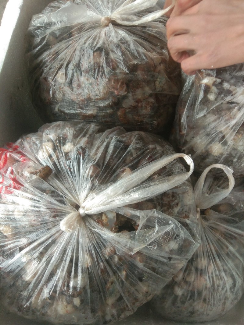 虾尾潜江小龙虾，虾尾鲜虾尾，肉质Q弹，口感回味50斤起批