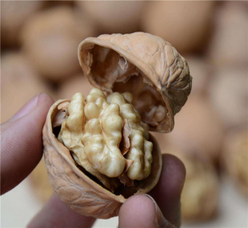 电商平台新疆薄皮核桃新疆幸福核桃，规格全量大从优