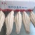 高品质巴沙鱼豆花鱼纸包鱼可用