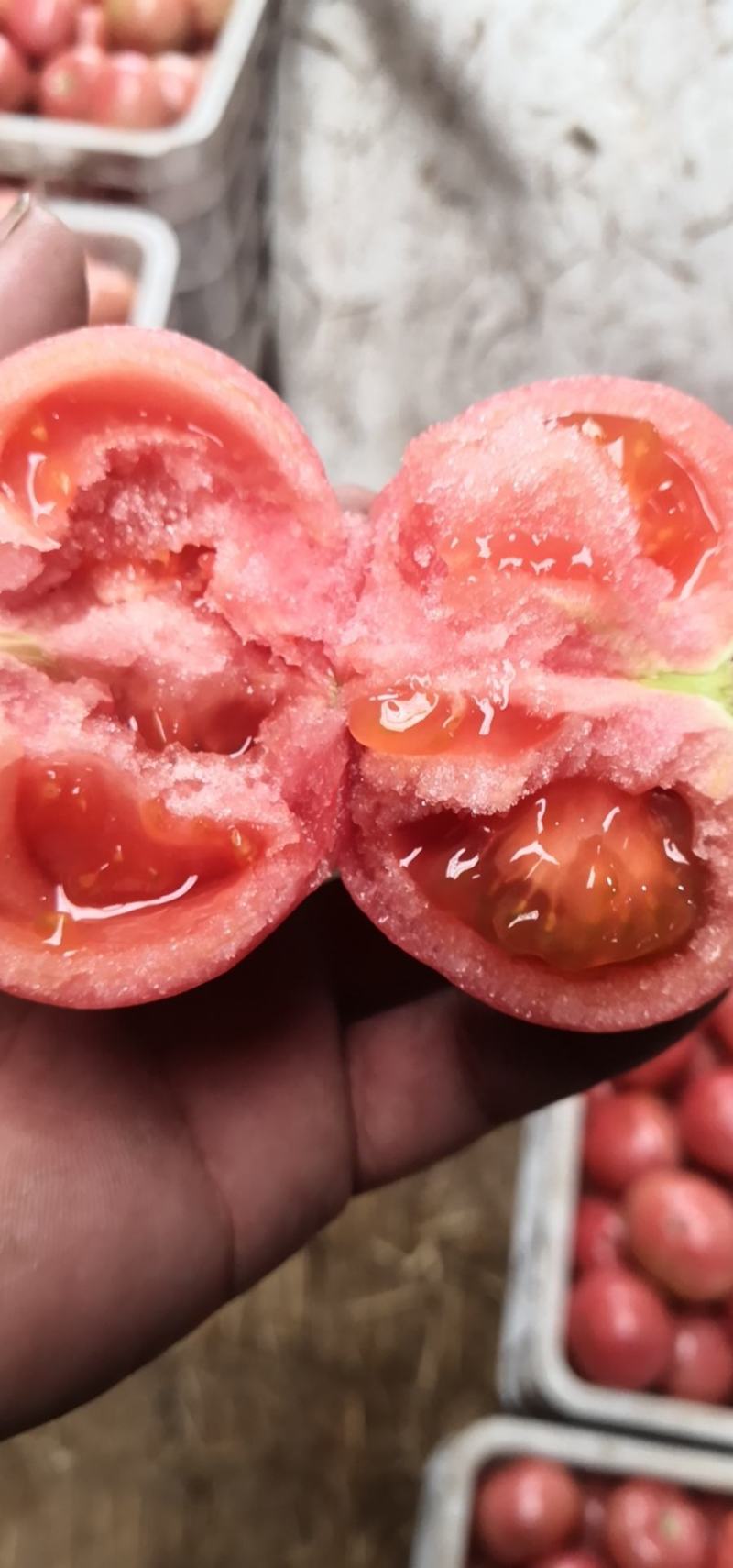 西红柿通货软粉弧二以上