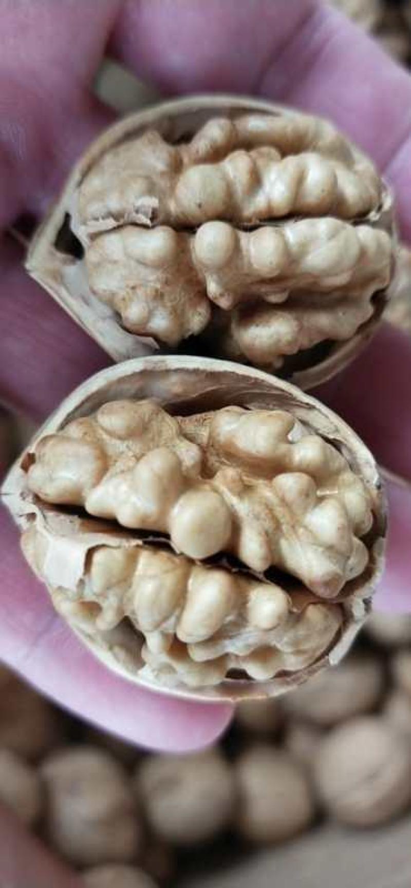 新疆薄皮核桃幸福33无添加放心吃质优价廉量大从优