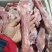 羔羊前腱后腱都有货10一斤，可发样品