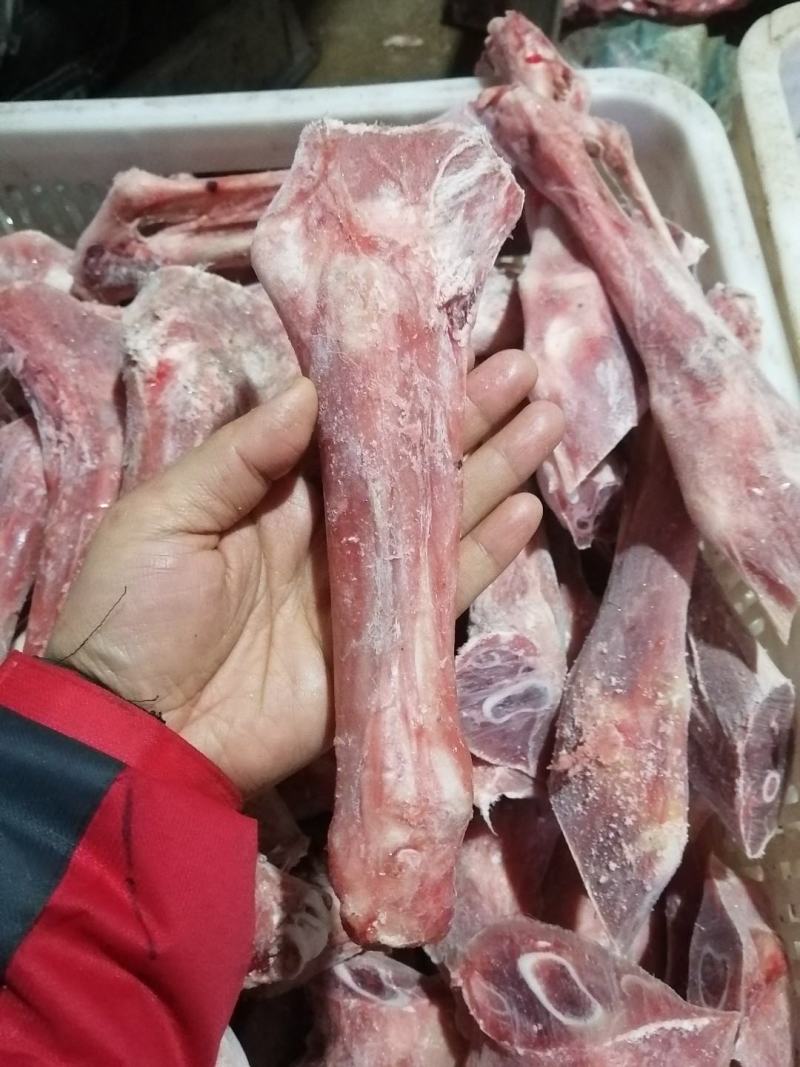 羔羊前腱后腱都有货10一斤，可发样品