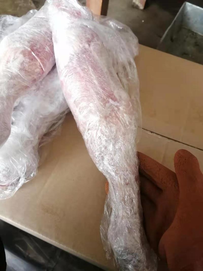 羔前后羊腿规格齐全11一斤，可发样品大量现货