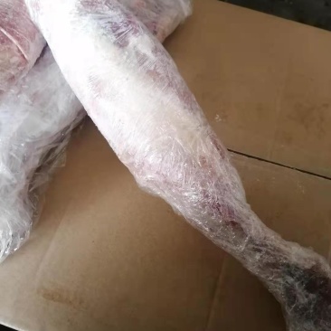 羔前后羊腿规格齐全11一斤，可发样品大量现货