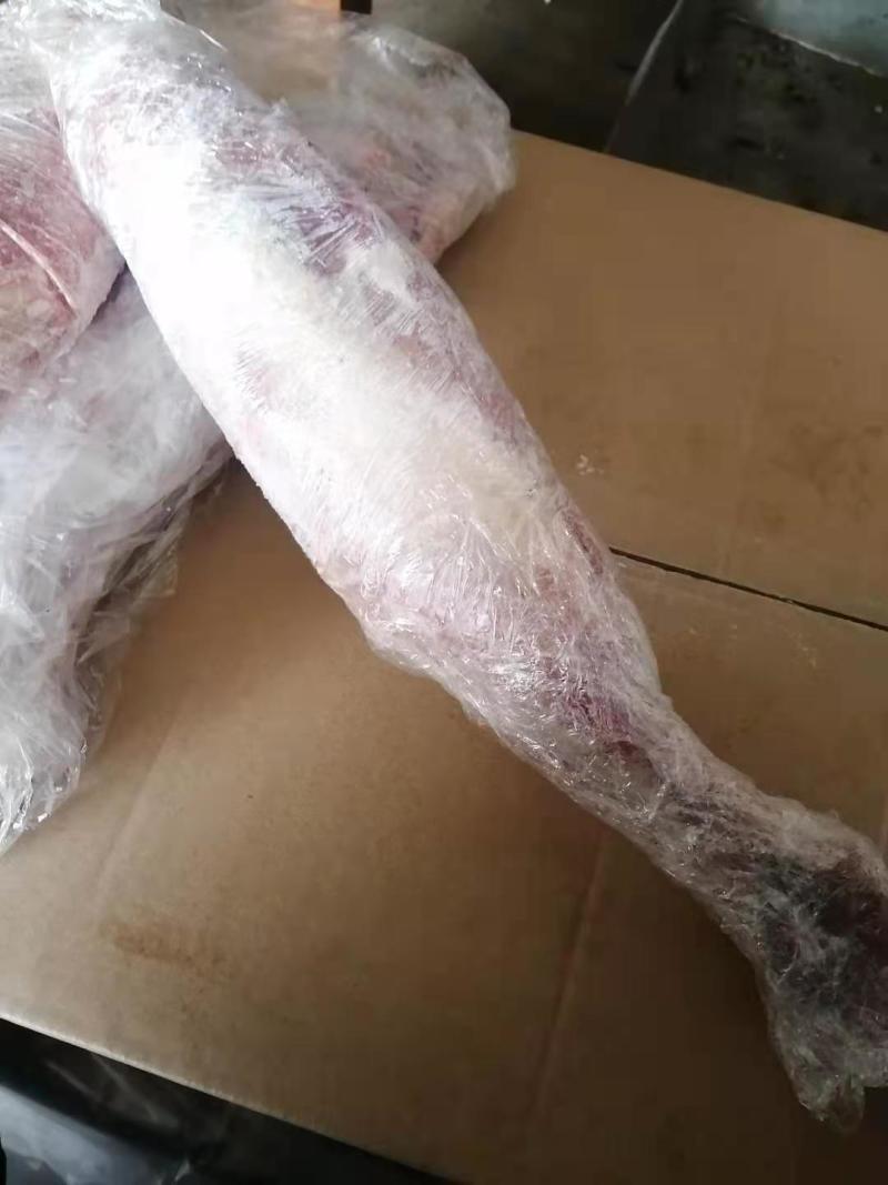 羔前后羊腿规格齐全11一斤，可发样品大量现货