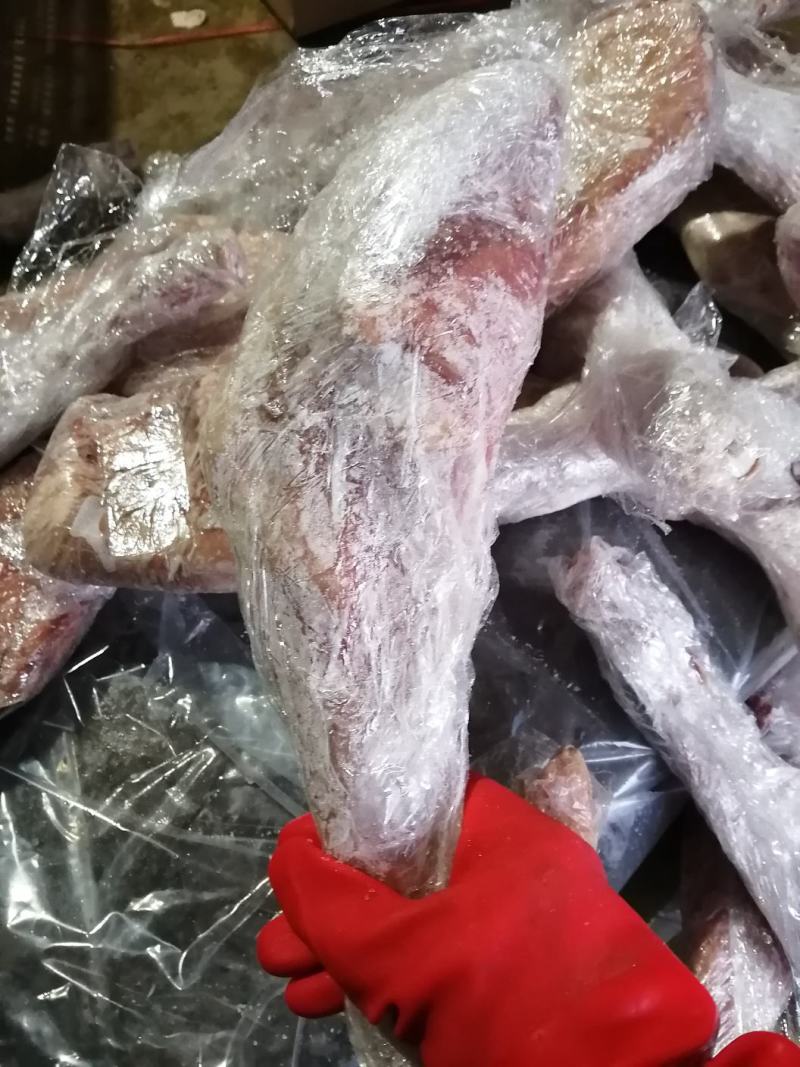 羔前后羊腿规格齐全11一斤，可发样品大量现货