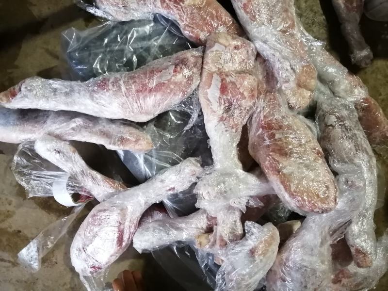 羔前后羊腿规格齐全11一斤，可发样品大量现货