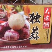 湖北钟祥精品鲜独蒜大量供应基地直发质量保证全国发货