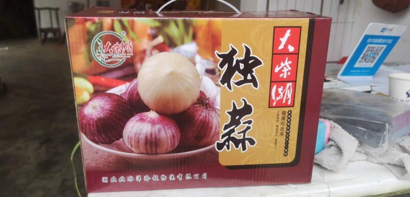 湖北钟祥精品鲜独蒜大量供应基地直发质量保证全国发货