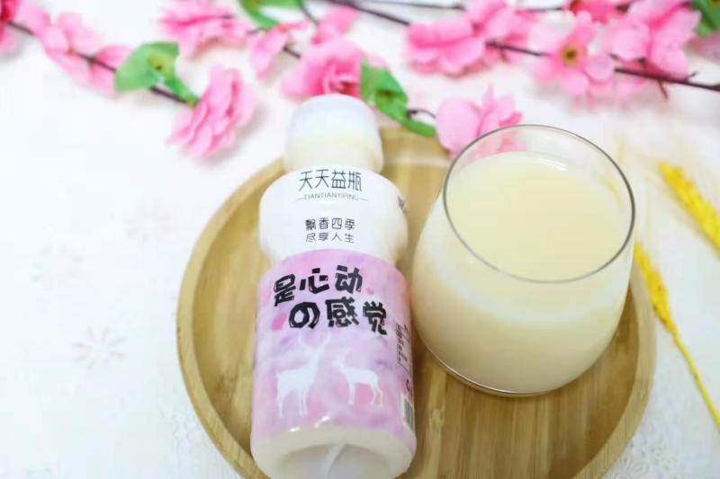 AD钙，达利园乳酸菌！特价招商！各地区厂家直发！！！