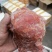 牛肉冷冻牛猪腱子肉不打粉不注水20斤一件