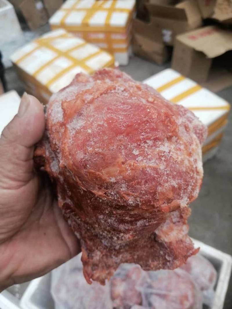 牛肉冷冻牛猪腱子肉不打粉不注水20斤一件