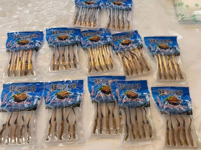 2022新鲜冬虫夏草鲜虫草0.7克每根