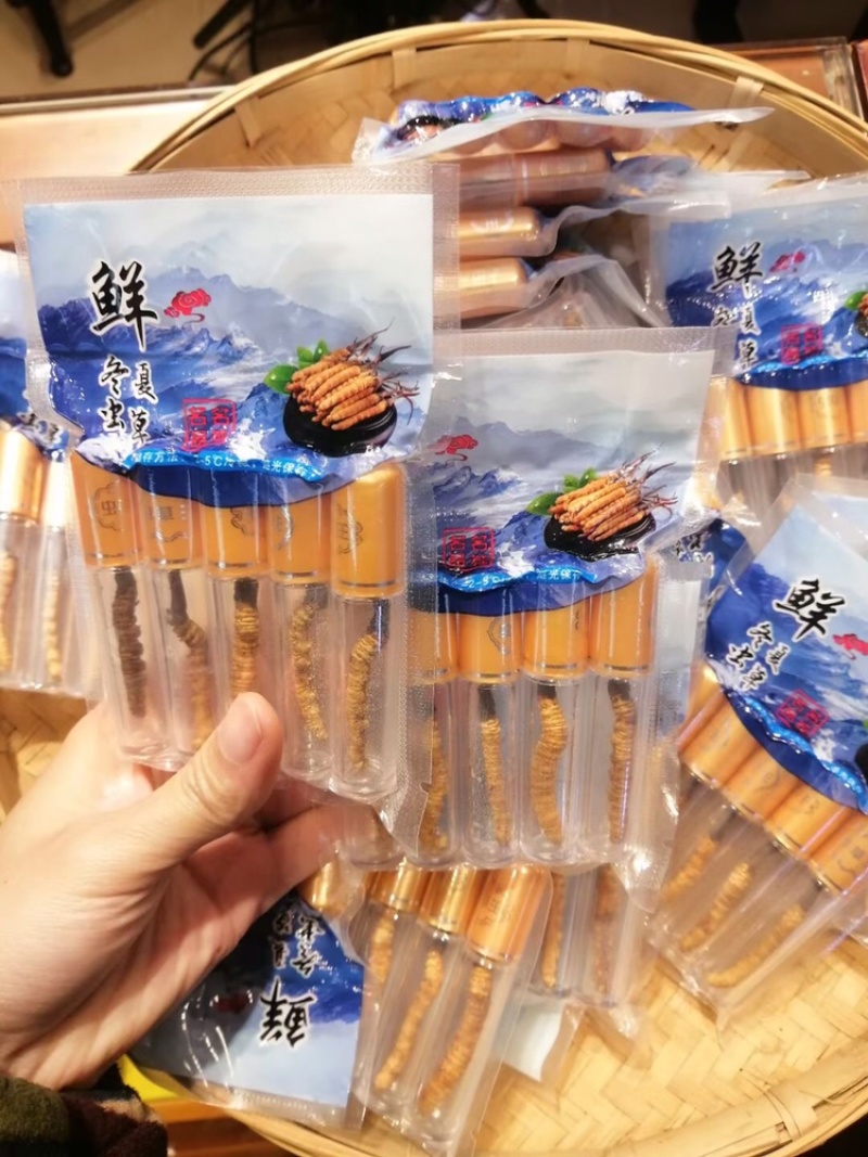 2022新鲜冬虫夏草鲜虫草0.7克每根
