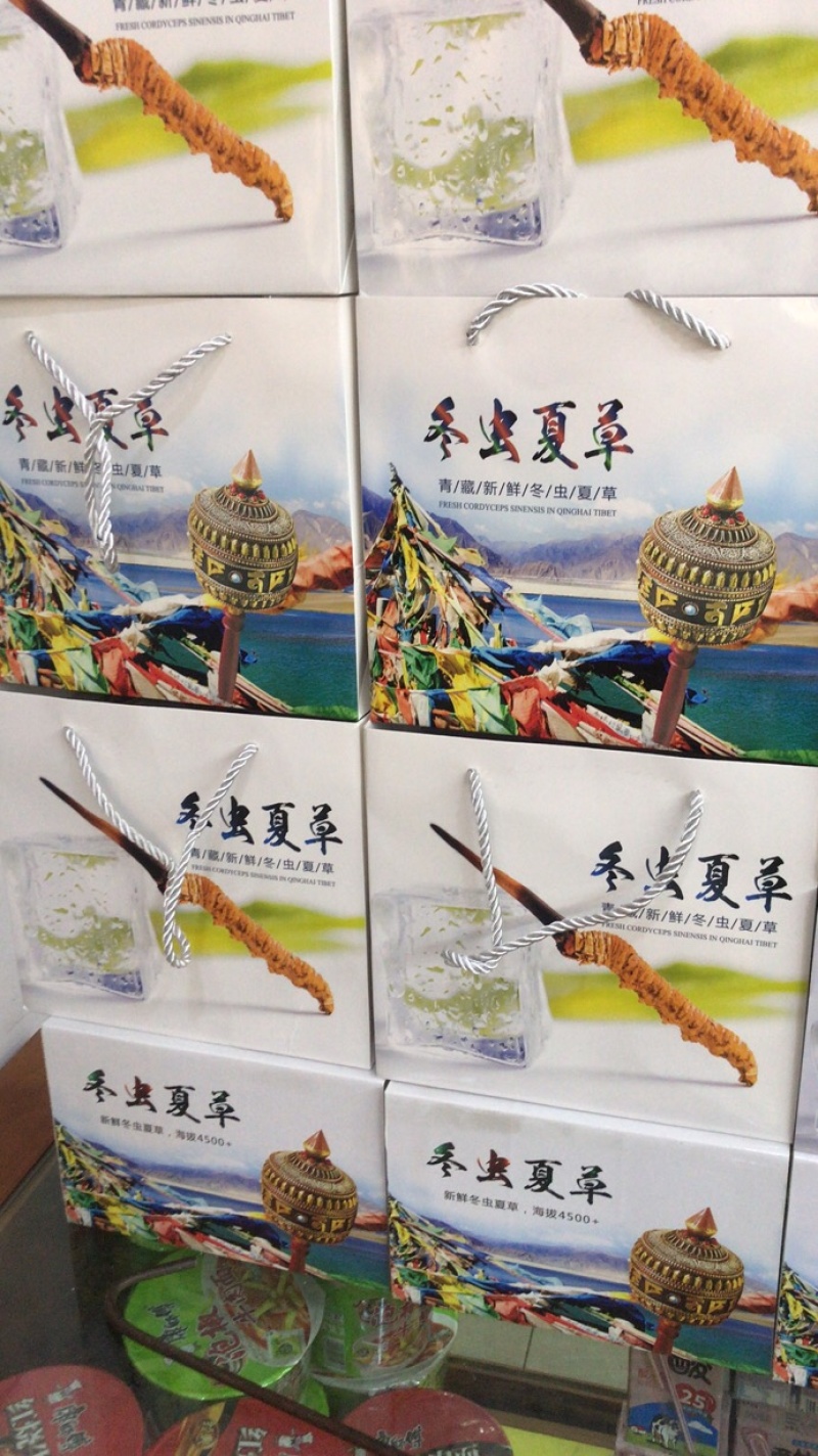 2022新鲜冬虫夏草鲜虫草0.7克每根