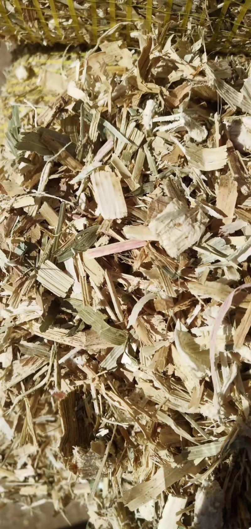 厂家直供优质玉米秸秆，品质上乘，保质保量。