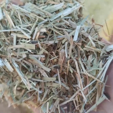 厂家直供优质玉米秸秆，品质上乘，保质保量。