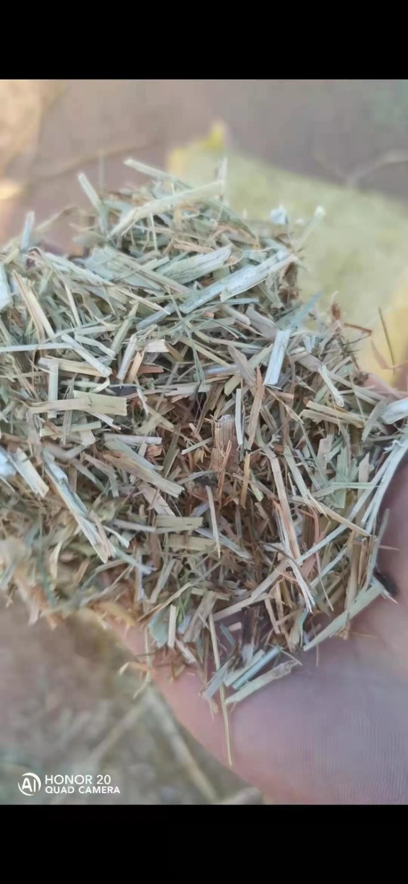 厂家直供优质玉米秸秆，品质上乘，保质保量。