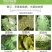 上海悦联化工50%多菌灵纹枯病炭疽病农药杀菌剂400克