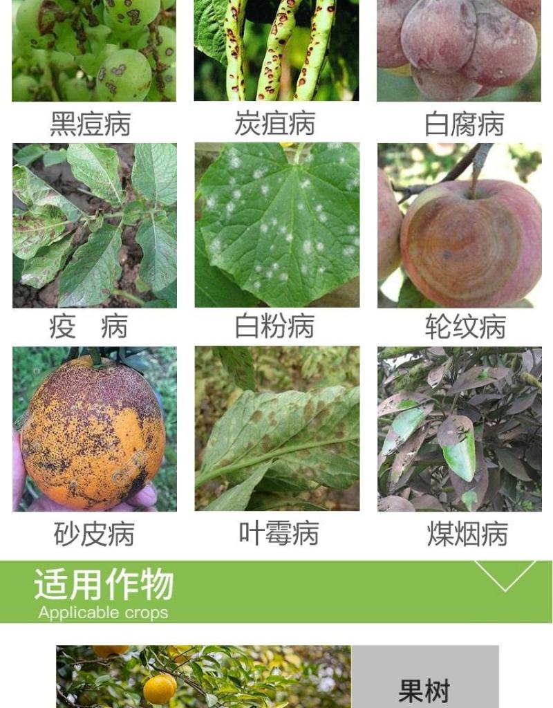 上海悦联化工50%多菌灵纹枯病炭疽病农药杀菌剂400克