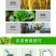 上海悦联化工50%多菌灵纹枯病炭疽病农药杀菌剂400克