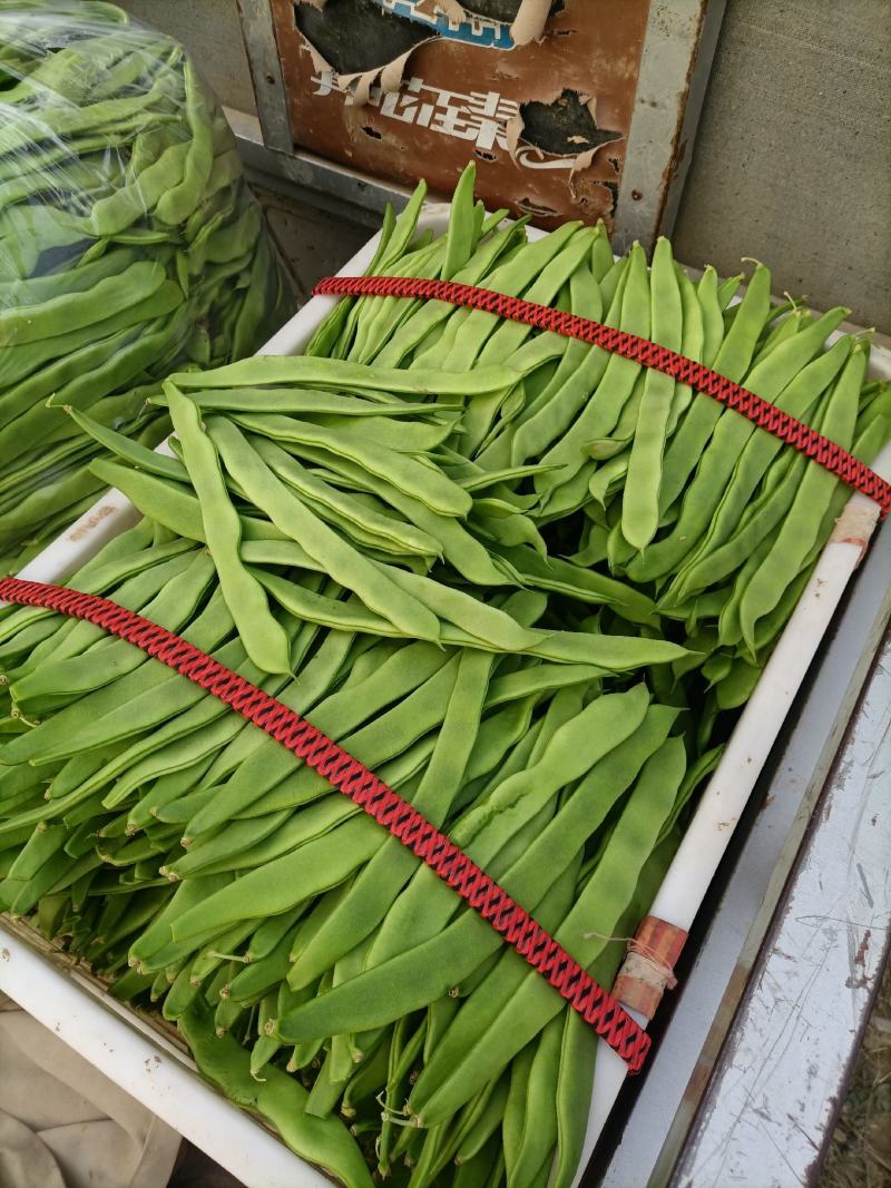 芸豆