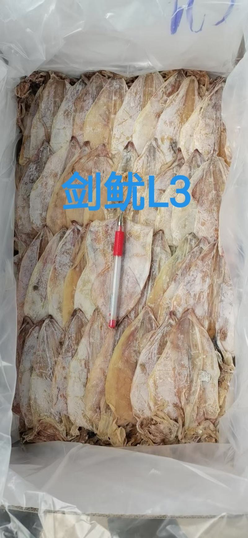 烧烤干鱿鱼，剑鱿L3