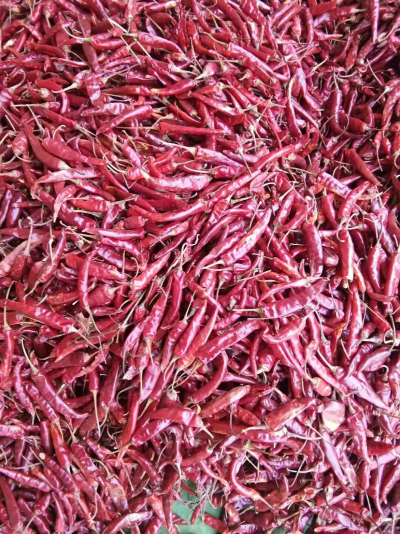 干辣椒