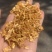 锯末木片