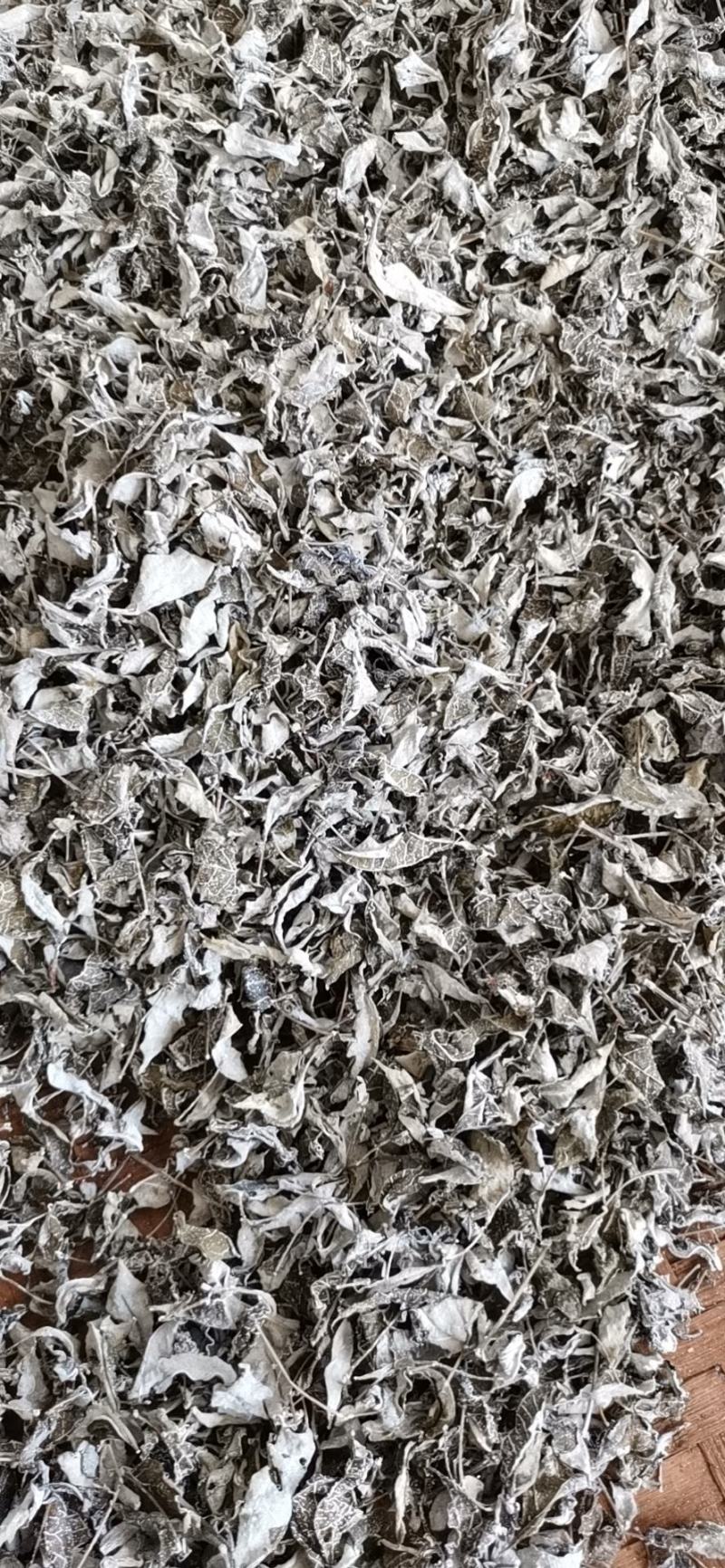 藤茶
