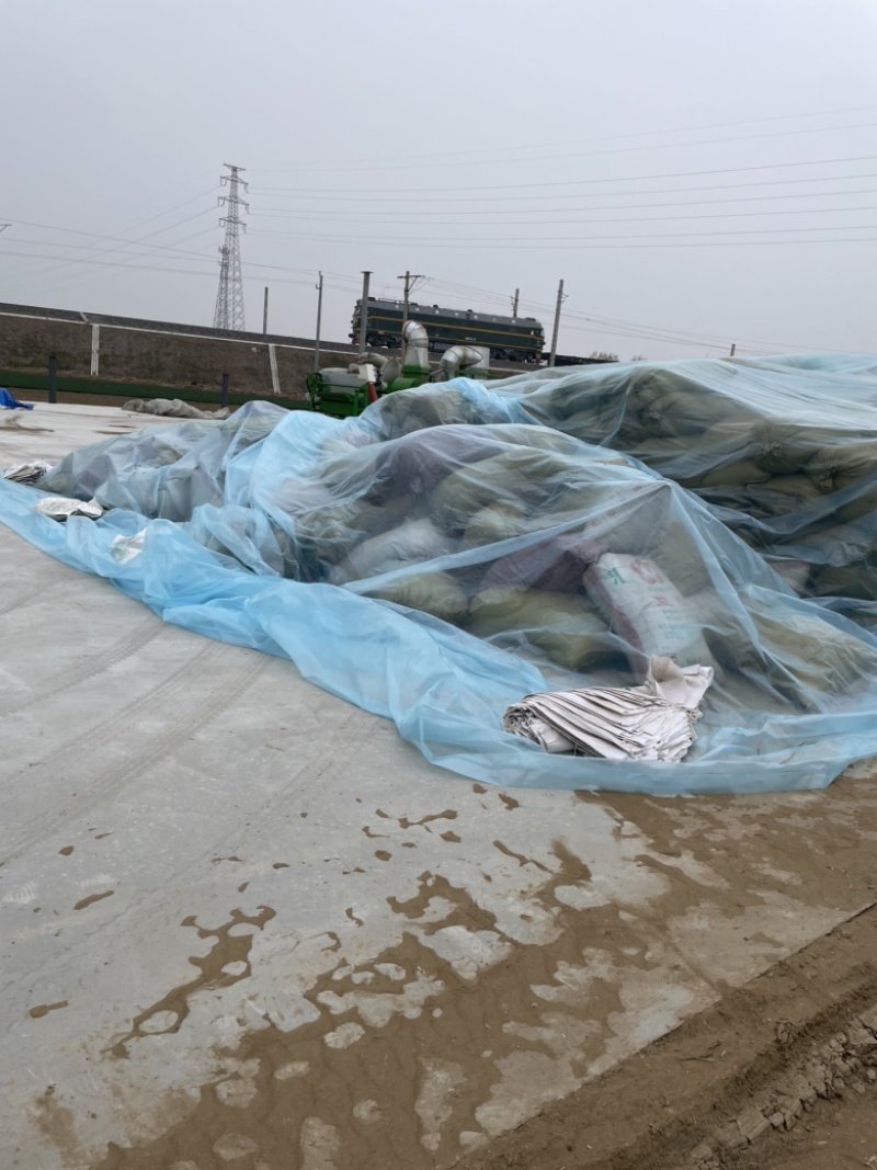 花生秧草粉原料饲料精细草粉质量有保证无土无膜有需联系
