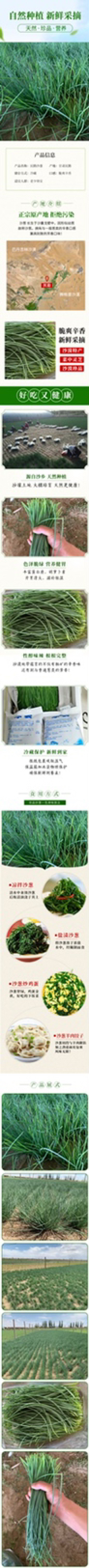 民勤沙葱新鲜现摘现发坏单包赔泡沫箱冰袋保鲜