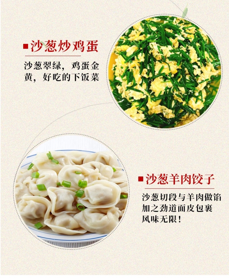 民勤沙葱新鲜现摘现发坏单包赔泡沫箱冰袋保鲜