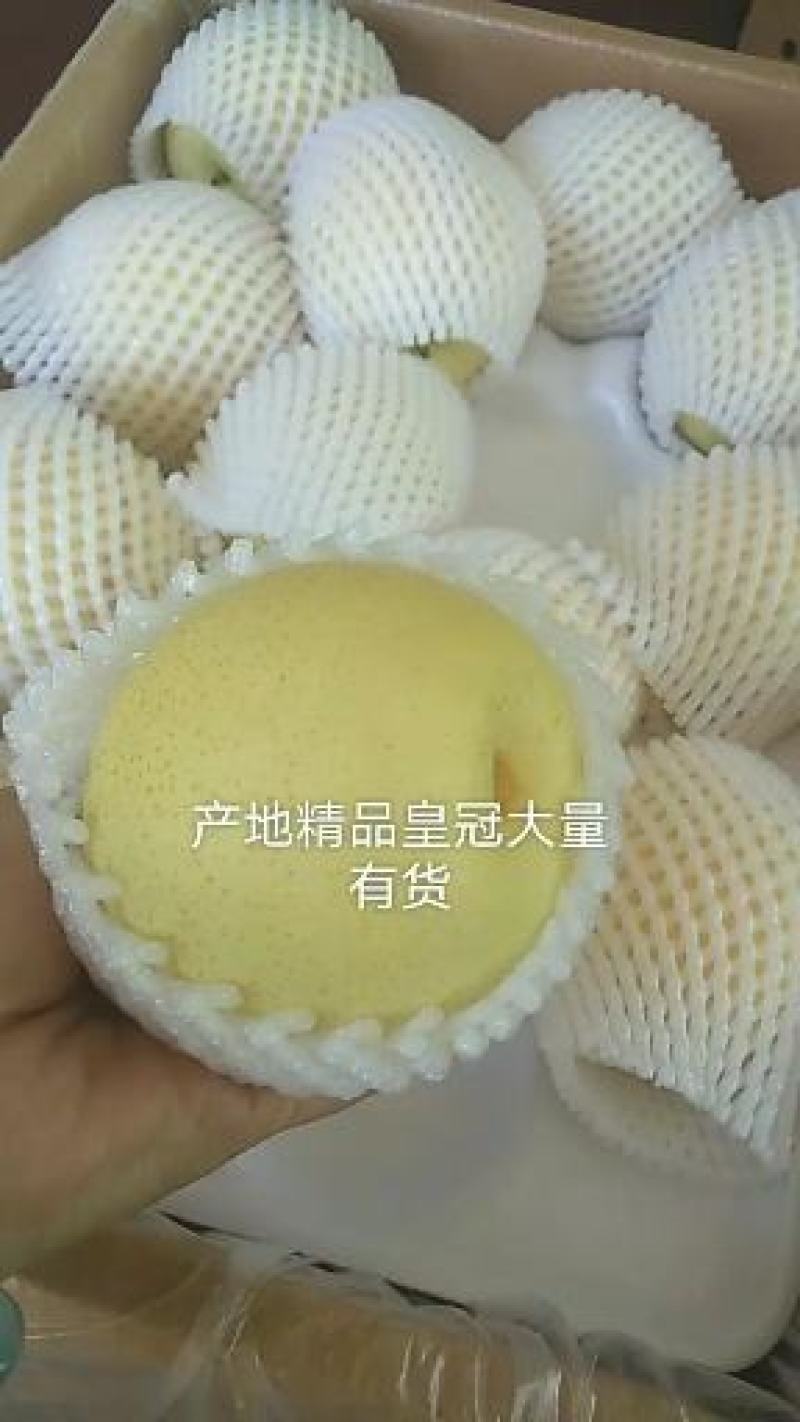 精品皇冠梨出口的质量亲民的价格口感嘎嘎甜