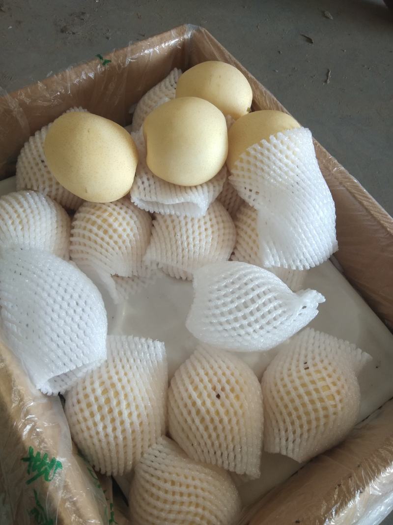 精品皇冠梨出口的质量亲民的价格口感嘎嘎甜